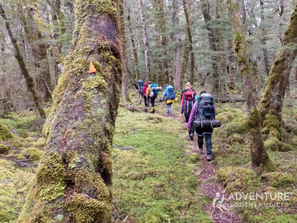 women in the wilderness, fiordland, new zealand, adventure southland, climbing, abseiling, tramping, camping, caving, women