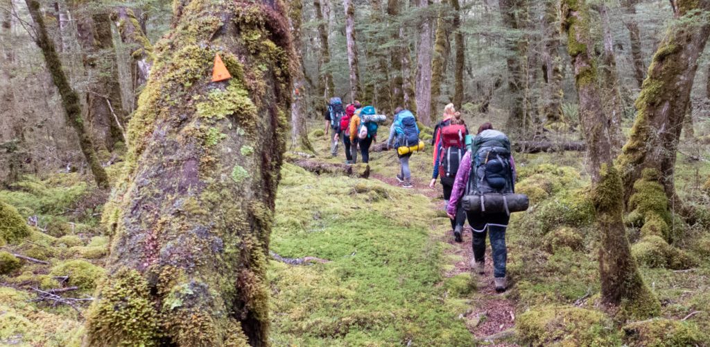 Adventure Southland-WITW-1000238 women in the wilderness, fiordland, new zealand, adventure southland, climbing, abseiling, tramping, camping, caving, women