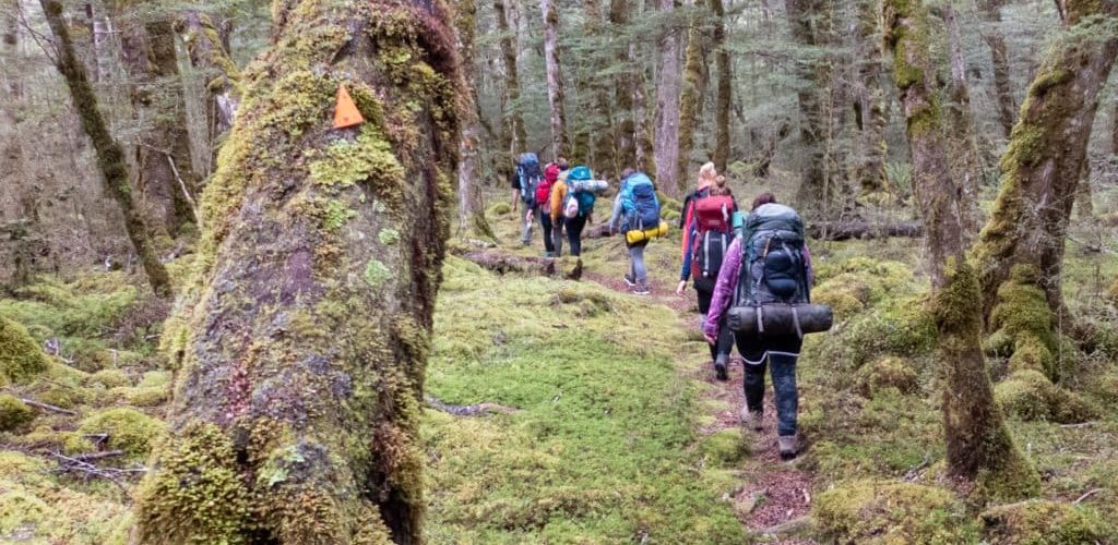 women in the wilderness, fiordland, new zealand, adventure southland, climbing, abseiling, tramping, camping, caving, women